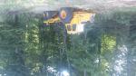 Autocarregadores - Forwarder VOLVO 868  |  Equipamento Florestal | Maquinaria para madeiras | Adam