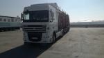 Semi-Reboque de Transporte de Troncos - Transporte e Carga