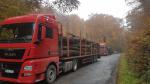 Camião de Transporte de Troncos - Transporte e Carga