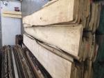 Tília Madeira Serrada p/ Carpintaria | Madeira dura | Madeira Serrada | JAF HOLZ Slovakia
