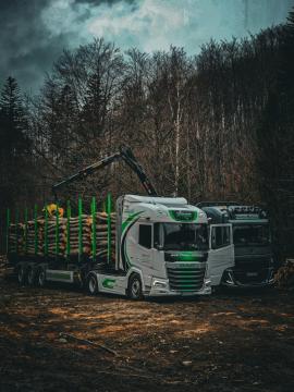 Semi-Reboque de Transporte de Troncos - Transporte e Carga