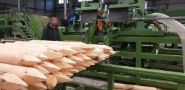 Outro tipo de equipamento Kompletn výroní Linka kulů . | Máquinas-Ferramentas p/ Serrar | Maquinaria para madeiras | Drekos Made s.r.o