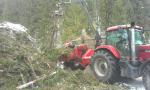 Outro tipo de equipamento Eschelbock Bieber 70, Case 255 |  Equipamento Florestal | Maquinaria para madeiras | ŠULEK FOREST, s. r. o.