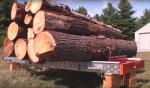 Serra de Fita p/ Troncos Kanada -HD36 |  Máquinas-Ferramentas p/ Serrar | Maquinaria para madeiras | Drekos Made s.r.o