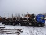 Camião de Transporte de Troncos Scania R420 LA6x4,návěs Svan |  Equipamentos de Transporte e Manutenção | Maquinaria para madeiras | JANEČEK CZ 