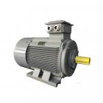 Outro tipo de equipamento Elektromotor, frekvenčný menič |  Manutenção de Máquinas e Ferramentas | Maquinaria para madeiras | MTM Electric Motors s.r.o.