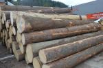 SMREK VENEER_LOGS