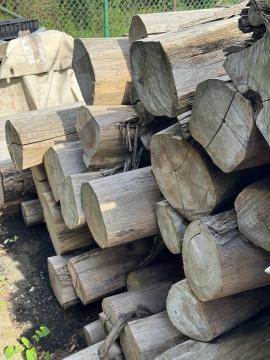 Teca Troncos de Madeira p/ Serrar |  Madeiras Tropicais | Troncos de Madeira | SOFT IT SP .ZO.O SPÓŁKA Z OGRANICZONĄ ODPO