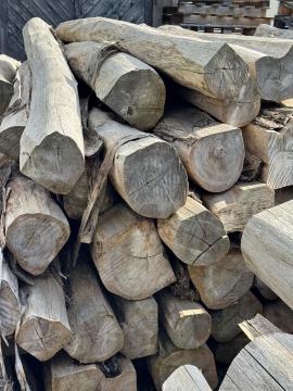 Teca Troncos de Madeira p/ Serrar |  Madeiras Tropicais | Troncos de Madeira | SOFT IT SP .ZO.O SPÓŁKA Z OGRANICZONĄ ODPO