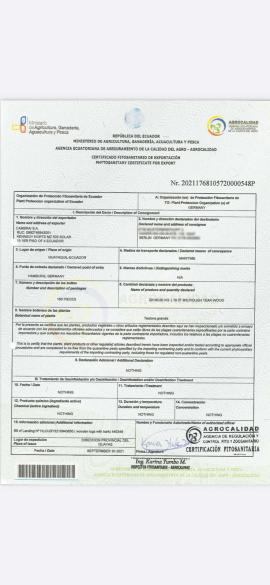 Teca Troncos de Madeira p/ Serrar |  Madeiras Tropicais | Troncos de Madeira | SOFT IT SP .ZO.O SPÓŁKA Z OGRANICZONĄ ODPO