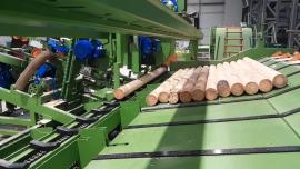 Outro tipo de equipamento Kompletn výroní Linka kulů . |  Máquinas-Ferramentas p/ Serrar | Maquinaria para madeiras | Drekos Made s.r.o