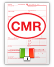 Declaração de Expedição Internacional CMR (english & italiano)